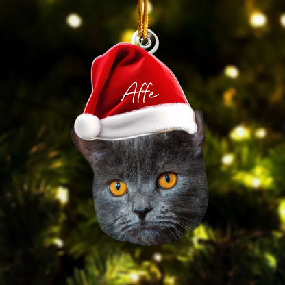 Personalisierter Weihnachtsschmuck – Haustier mit Wichtelmütze