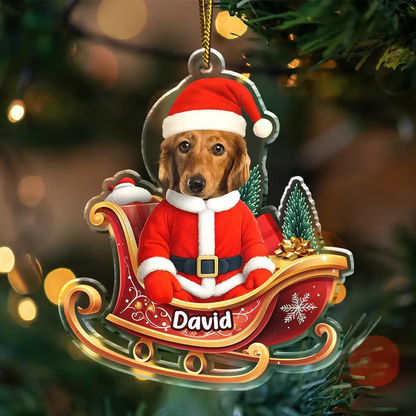 Personalisierte Weihnachtsdeko – Lustiges Weihnachtsmann-Gesicht