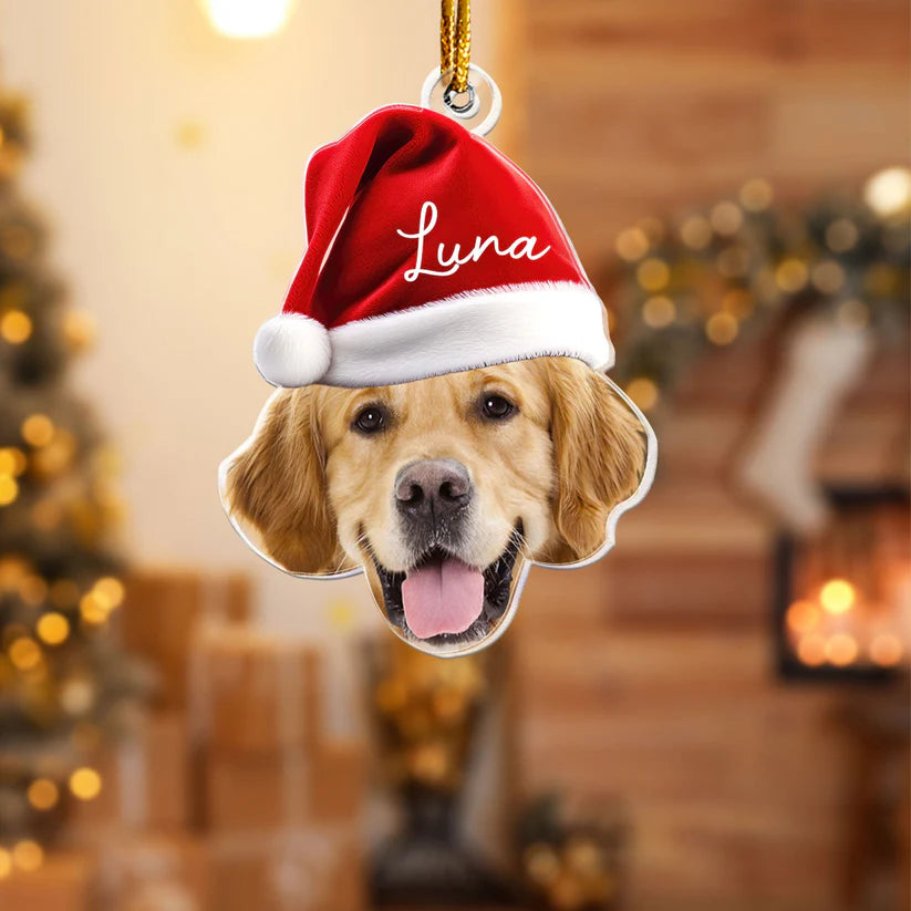Personalisierter Weihnachtsschmuck – Haustier mit Wichtelmütze