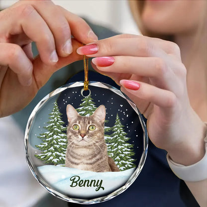 Personalisierte Weihnachtsdeko – Haustier mit eigenem Foto